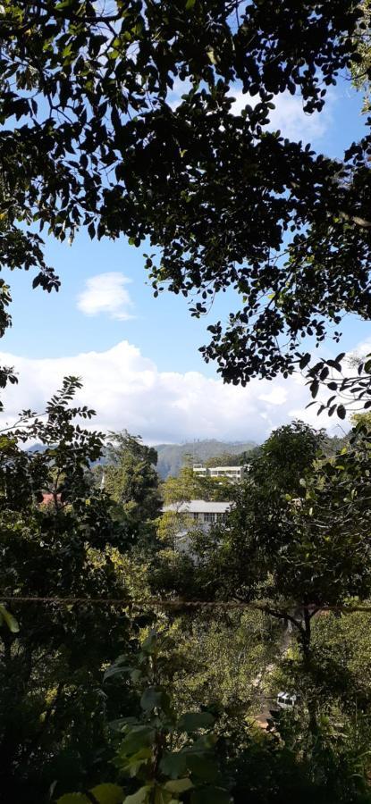 Homestay Kavindu