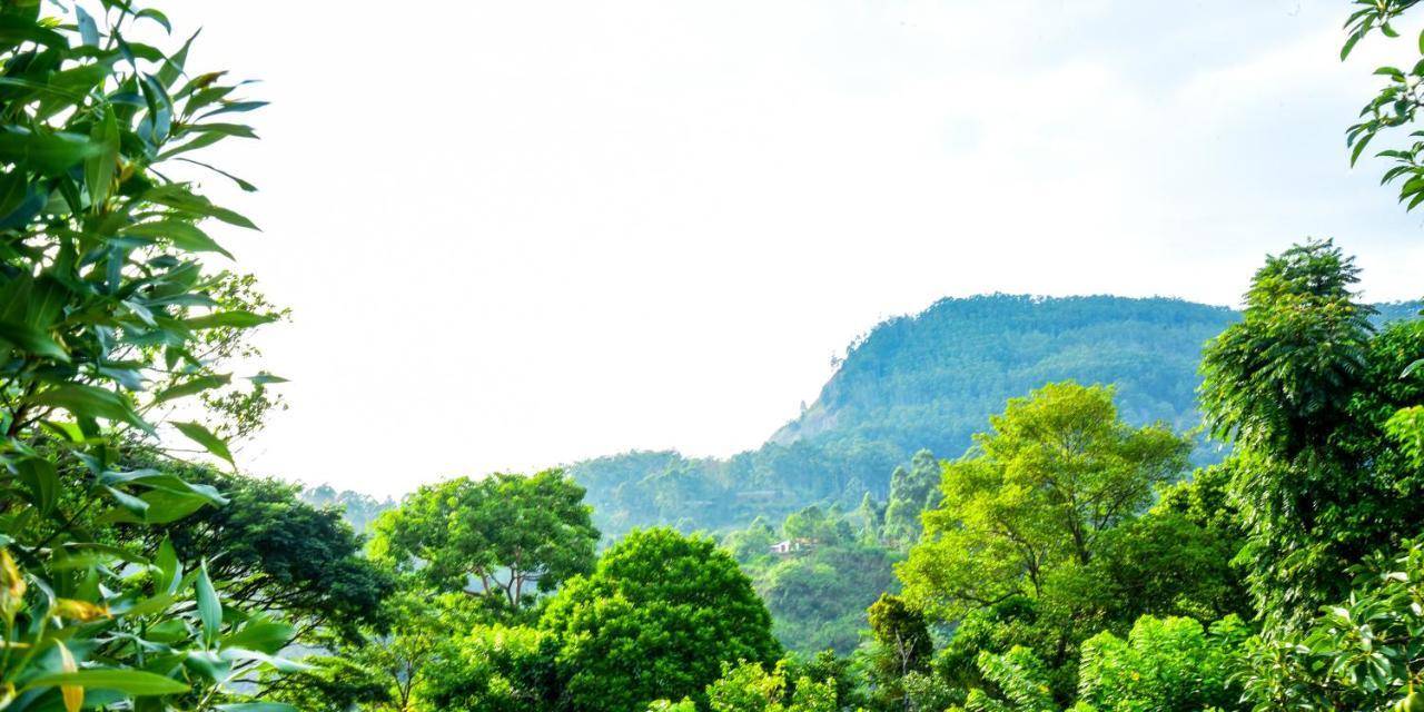 Gems Moon Paradise Homestay Ella