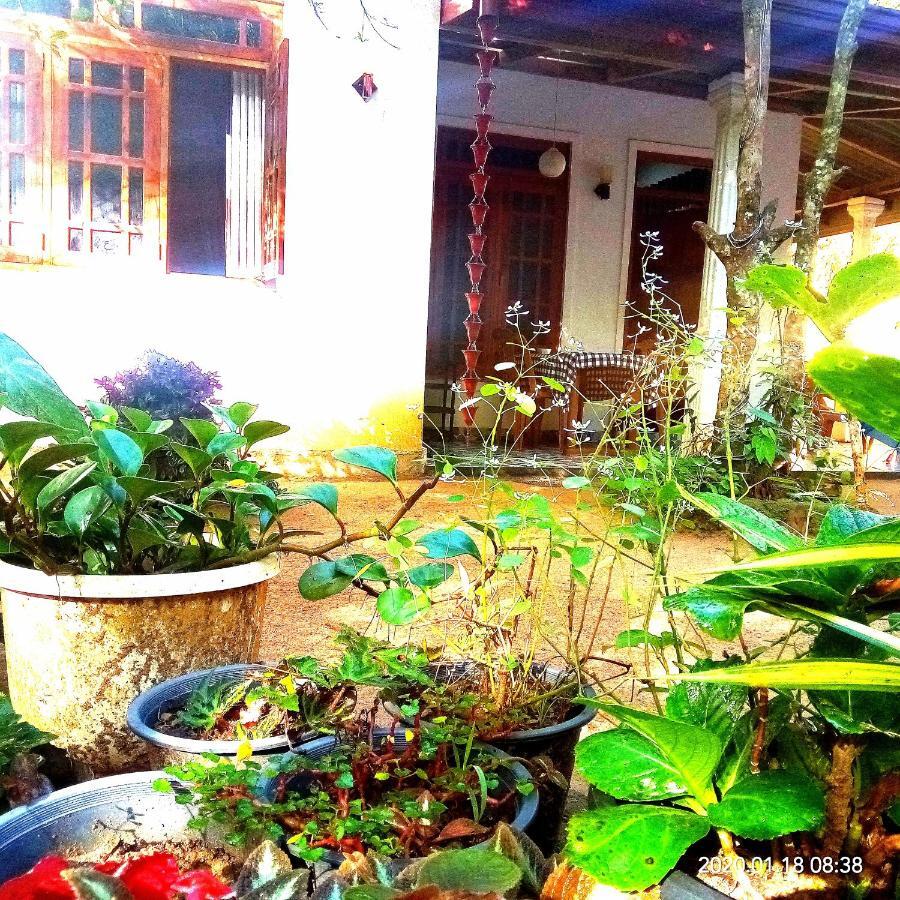 Homestay Jungle Ella
