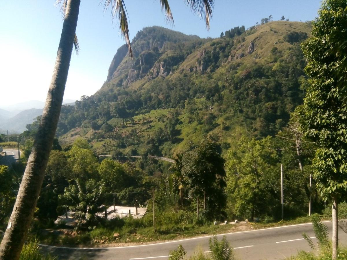 Dream Nest Homestay