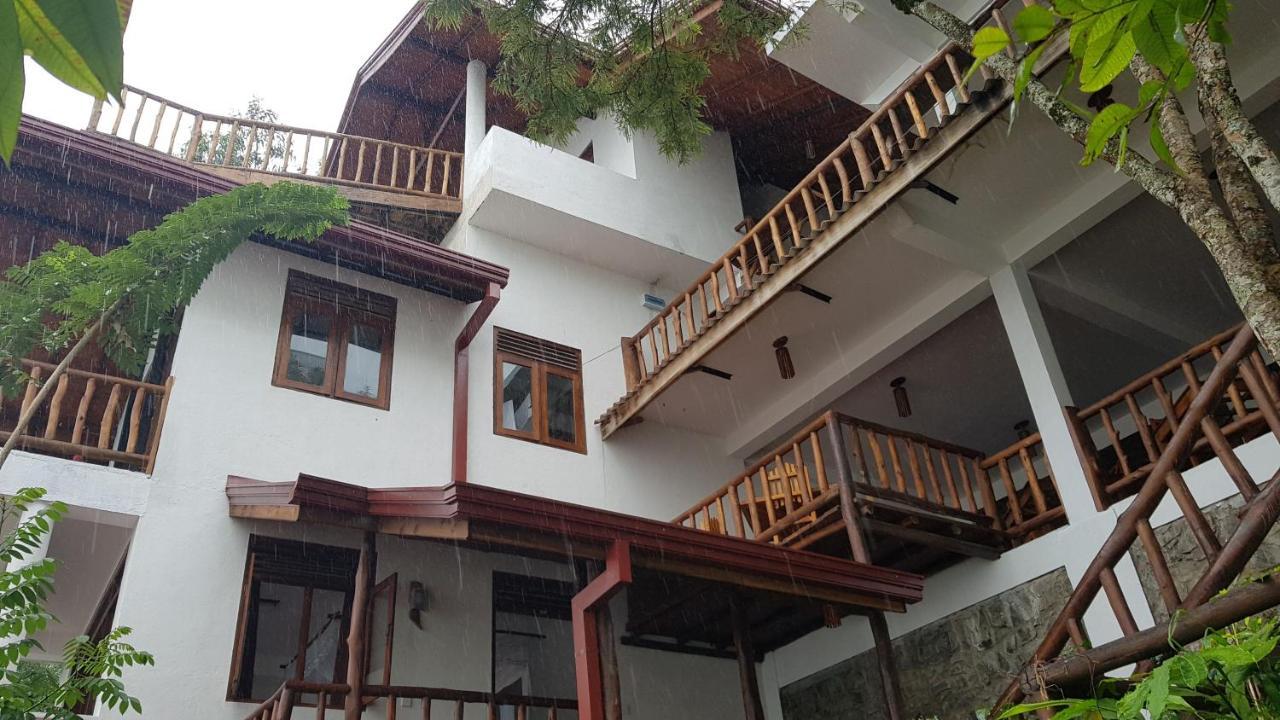 Mount View Guest Homestay *