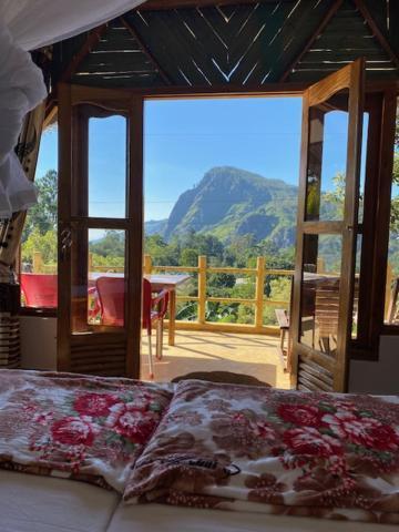 Eden View - Tour Options In The Area * Ella