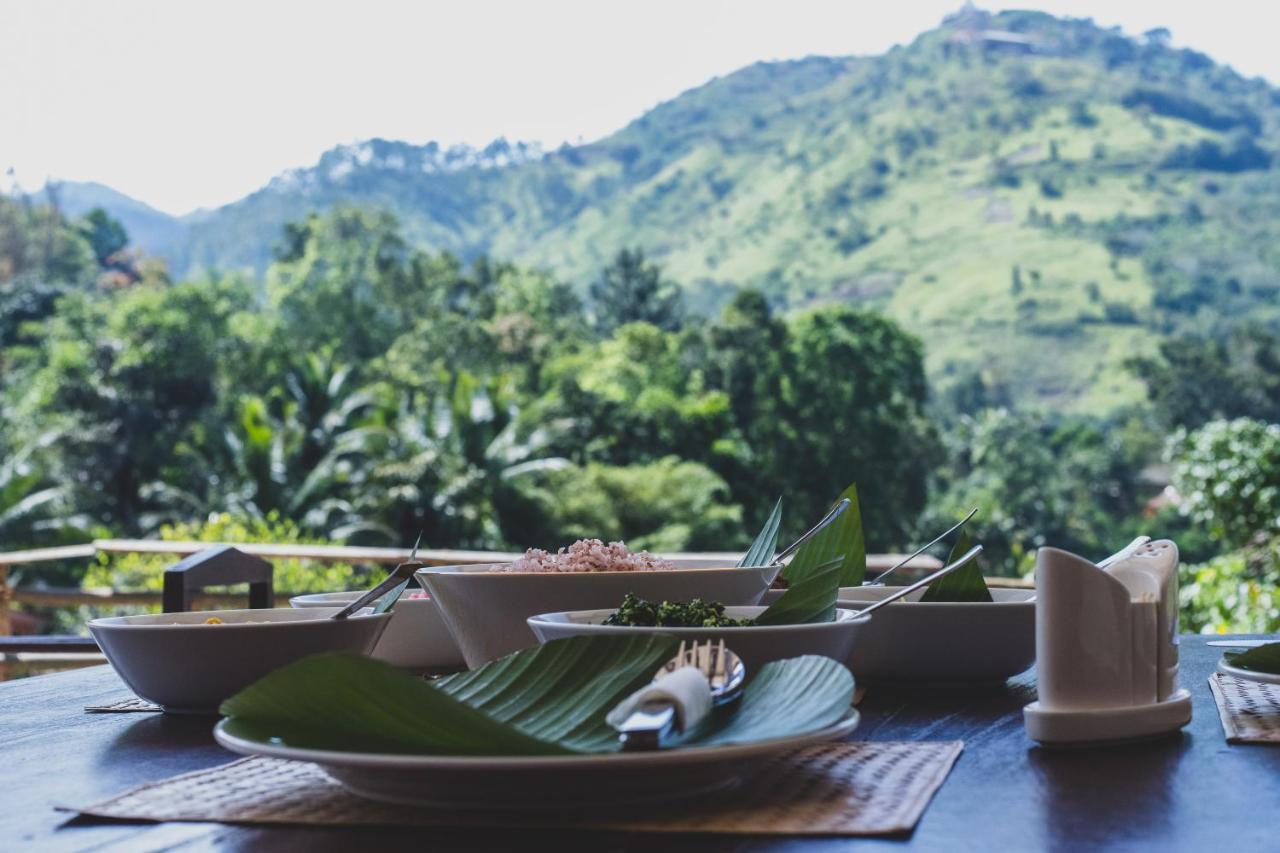 Homestay Village Nest