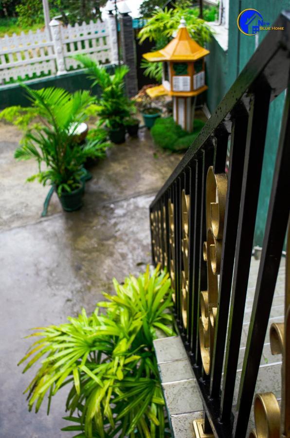 Guest house New Blue 3*
