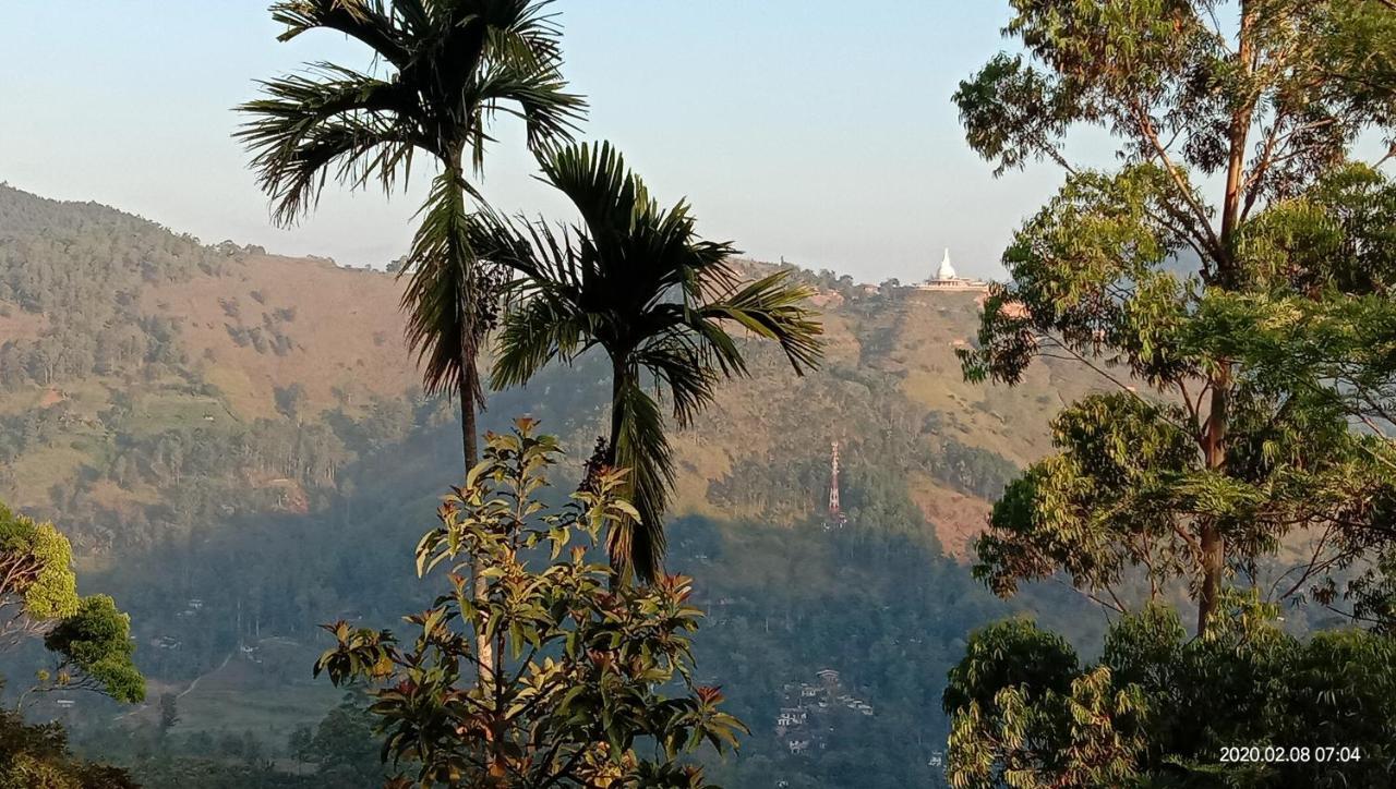 White Arcadia Guest house