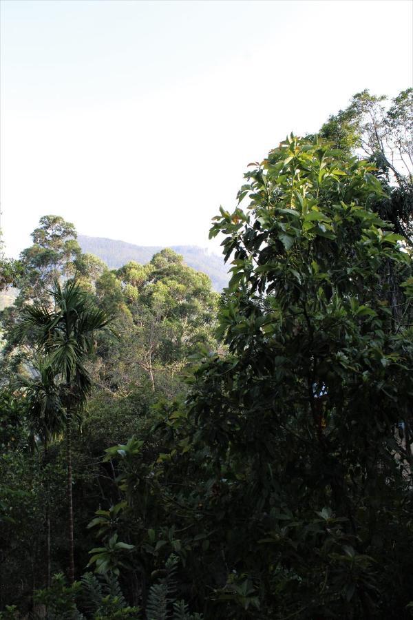 Homestay Amado Ella