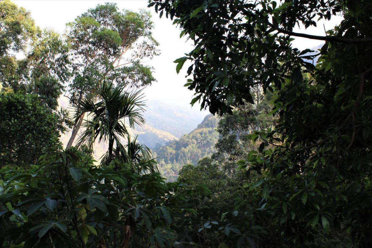 Amado Homestay