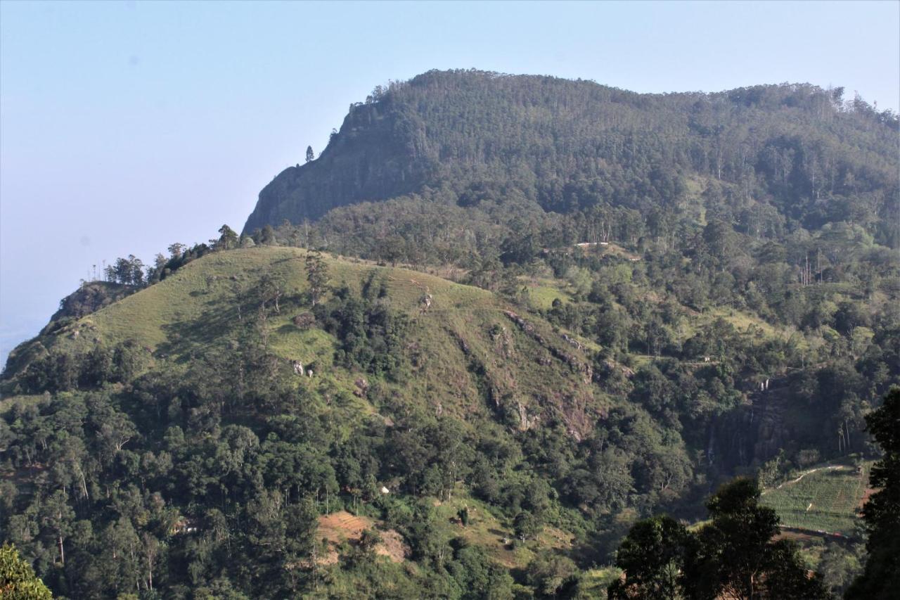 Homestay Amado Ella