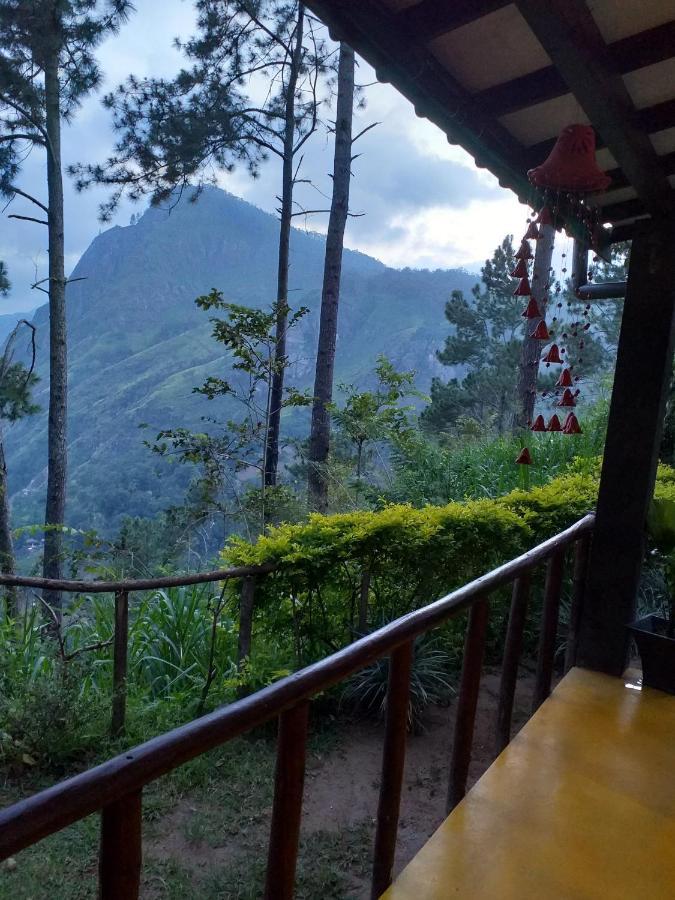 Dream View * Ella