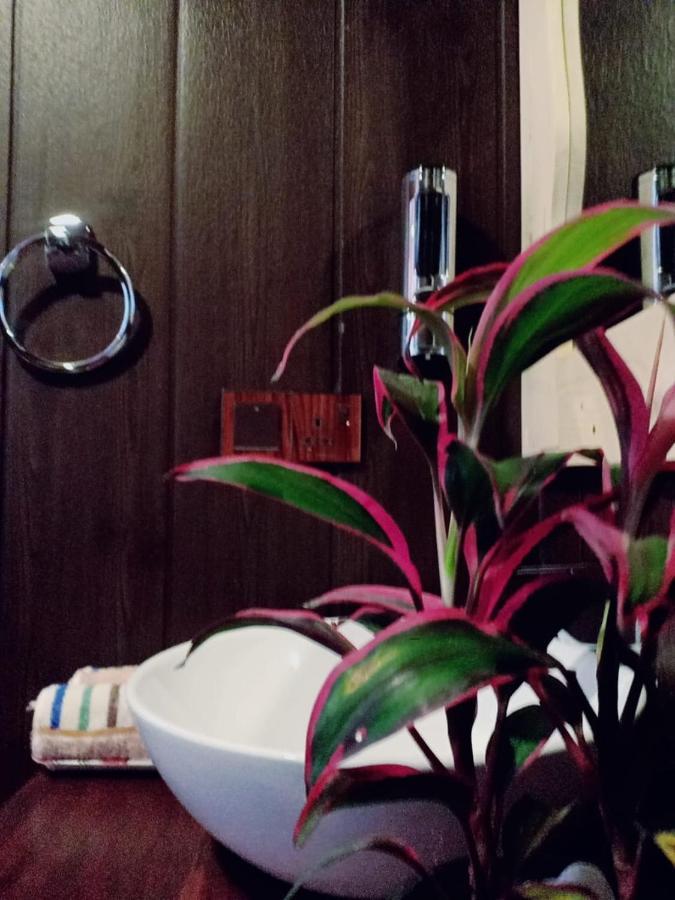 Homestay Cozy