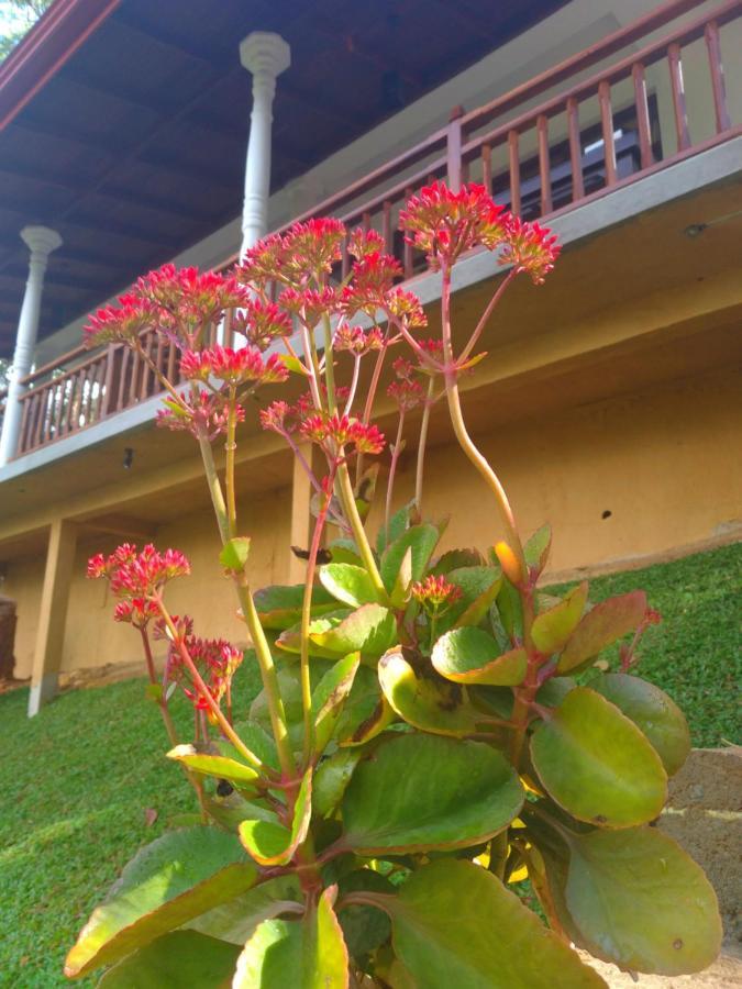 Guest house Hillsite View