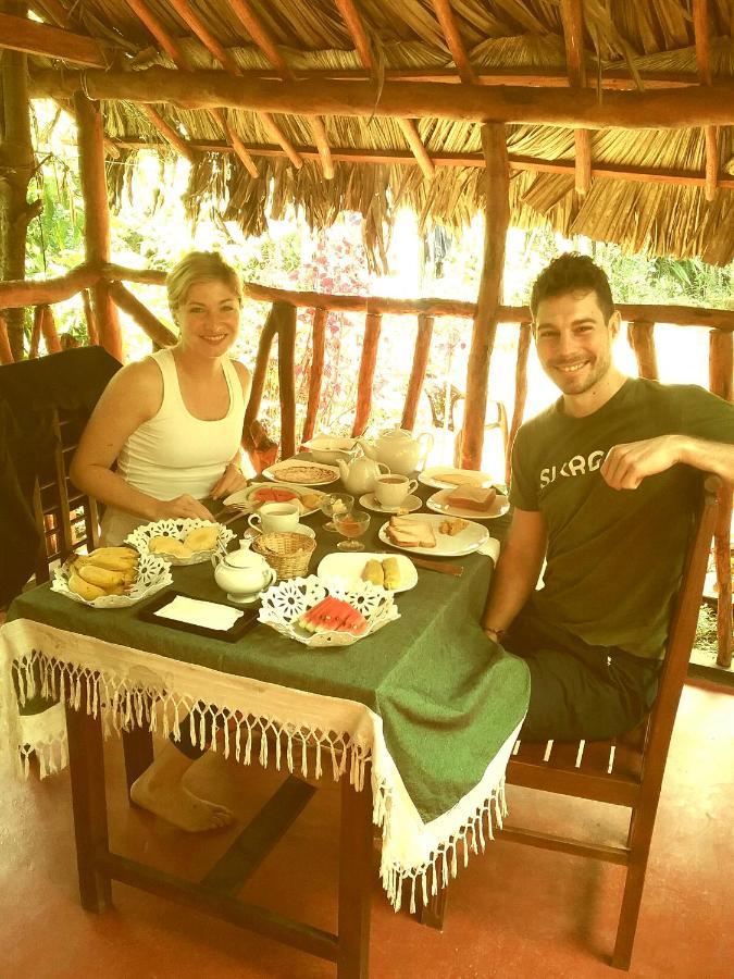 Bed & Breakfast Jungle Face