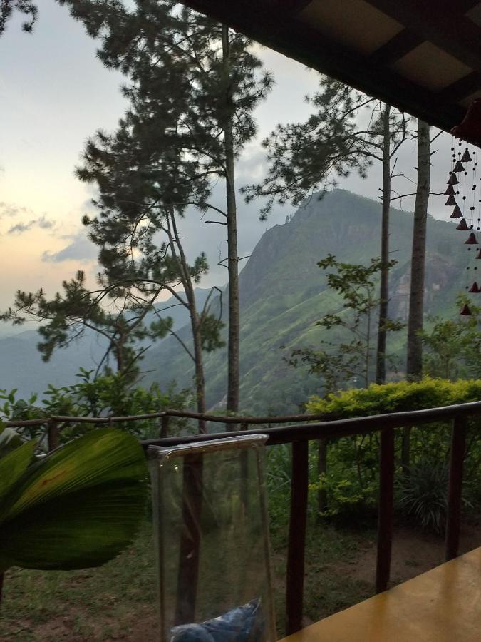 Dream View * Ella