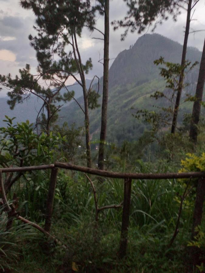 Dream View * Ella