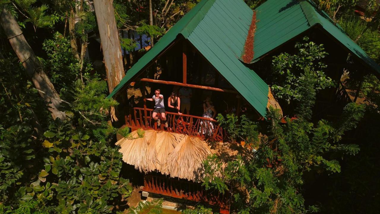 Bed & Breakfast Jungle Face *
