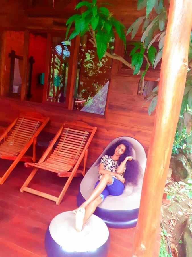 Jungle Face Bed & Breakfast *