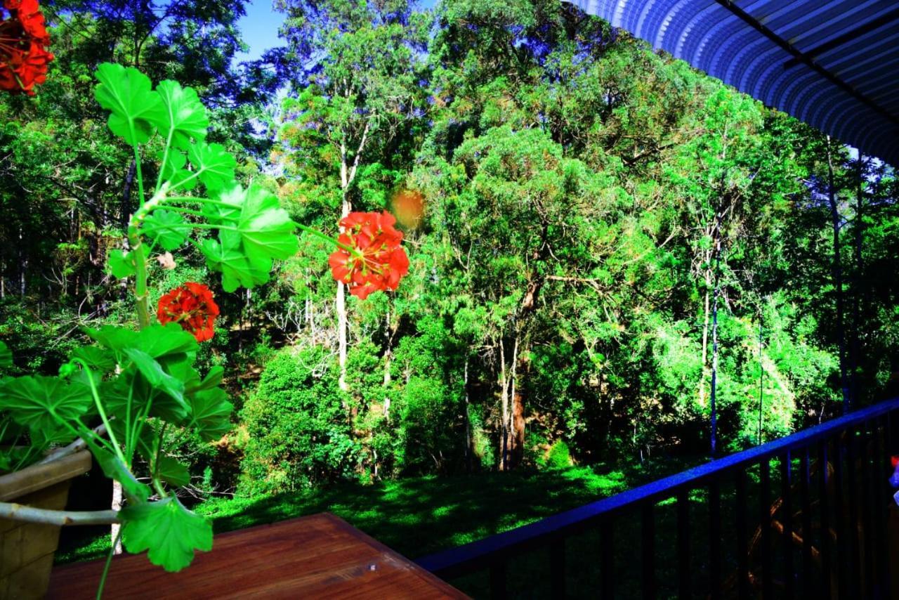Wood Guest house
