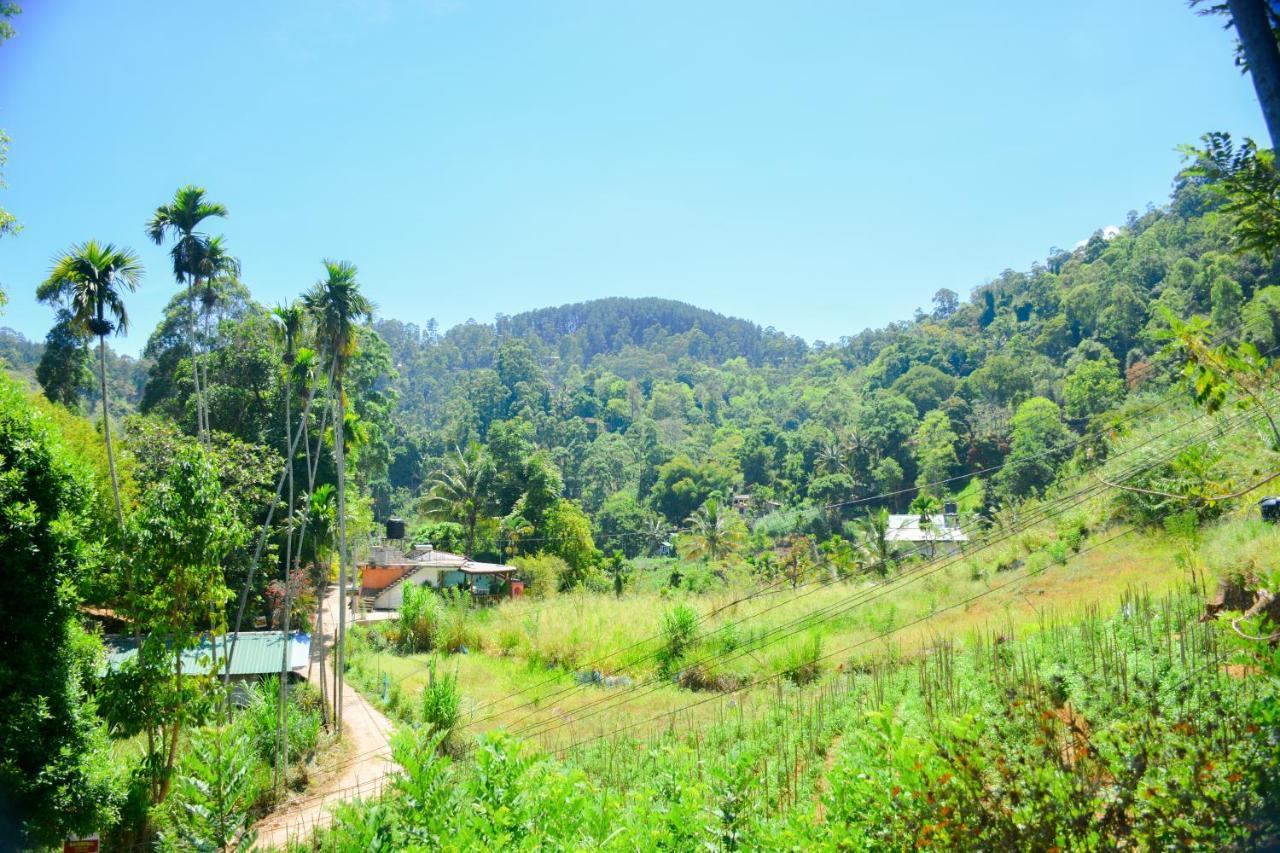 Homestay Supreme *