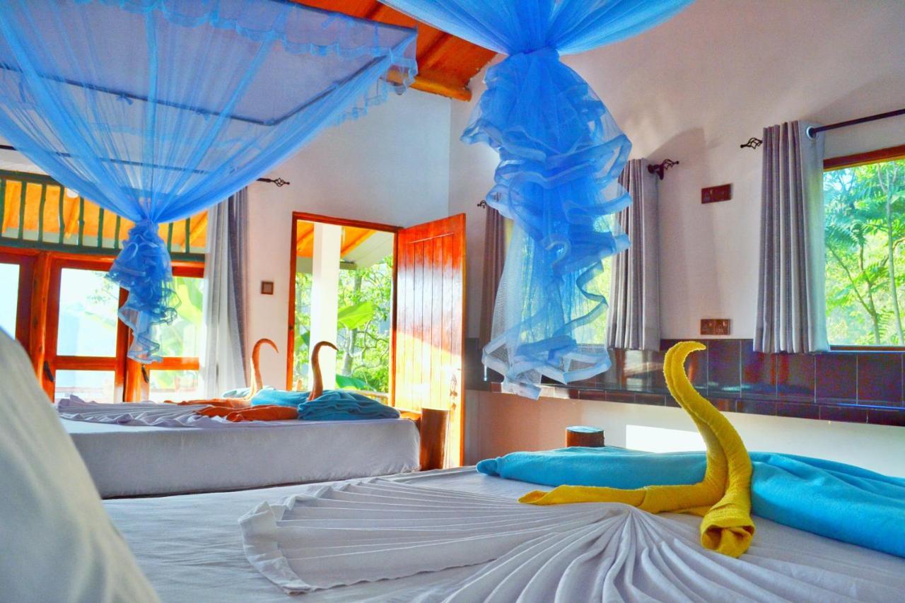 Rainbow Sky Homestay *