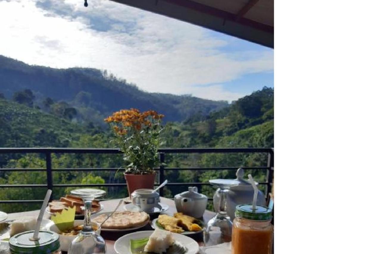 Waterfall View Homestay